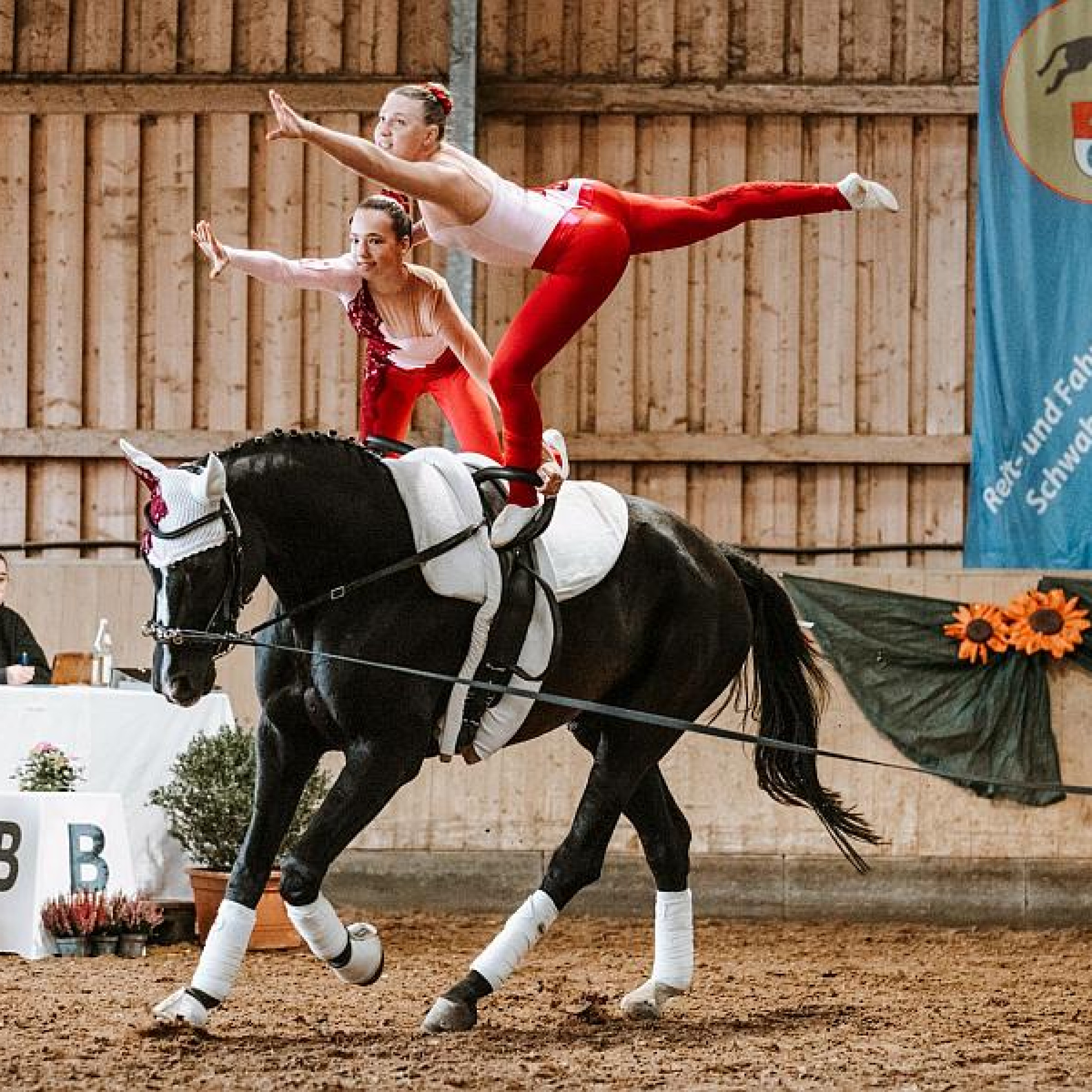 Voltigieren: Herzblut im Galopp